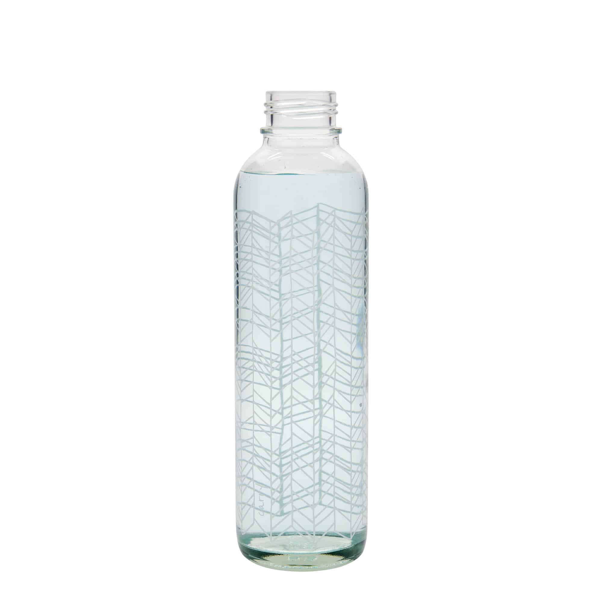 700 ml Taşıma Şişesi CARRY Bottle 'Yaşamın Yapısı', Ağız: Vidalı Kapak
