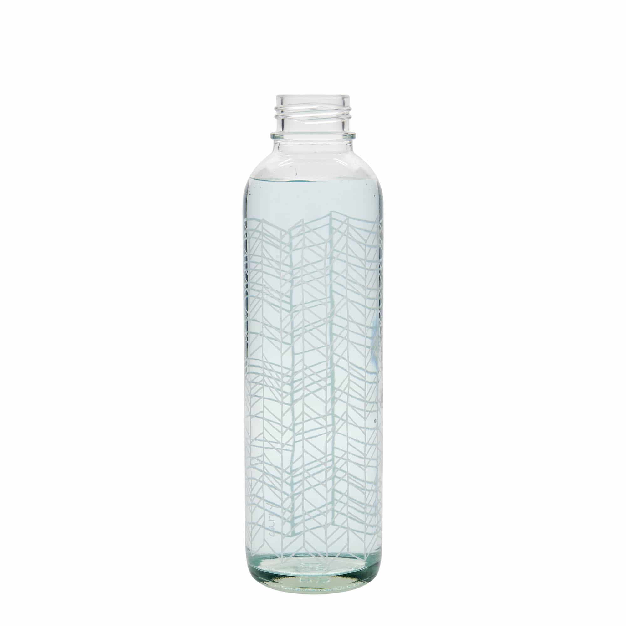 700 ml Taşıma Şişesi CARRY Bottle 'Yaşamın Yapısı', Ağız: Vidalı Kapak
