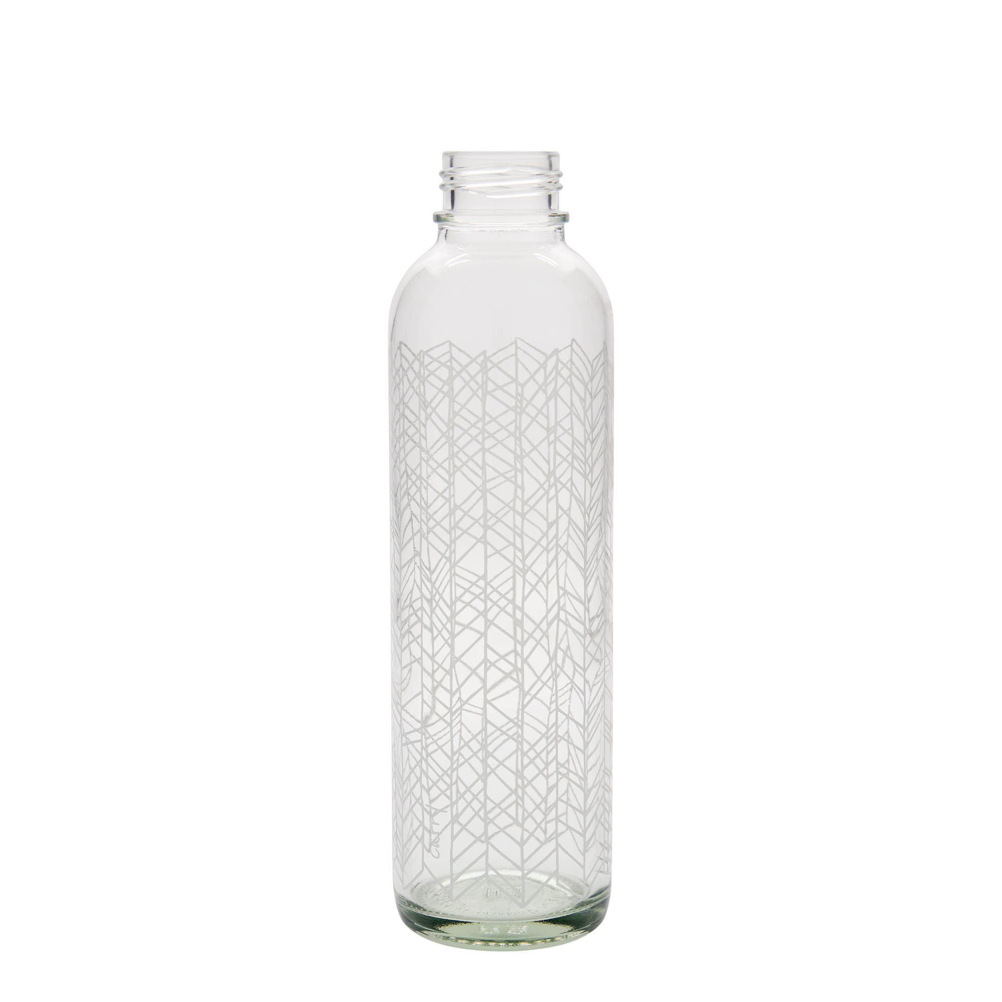 700 ml Taşıma Şişesi CARRY Bottle 'Yaşamın Yapısı', Ağız: Vidalı Kapak