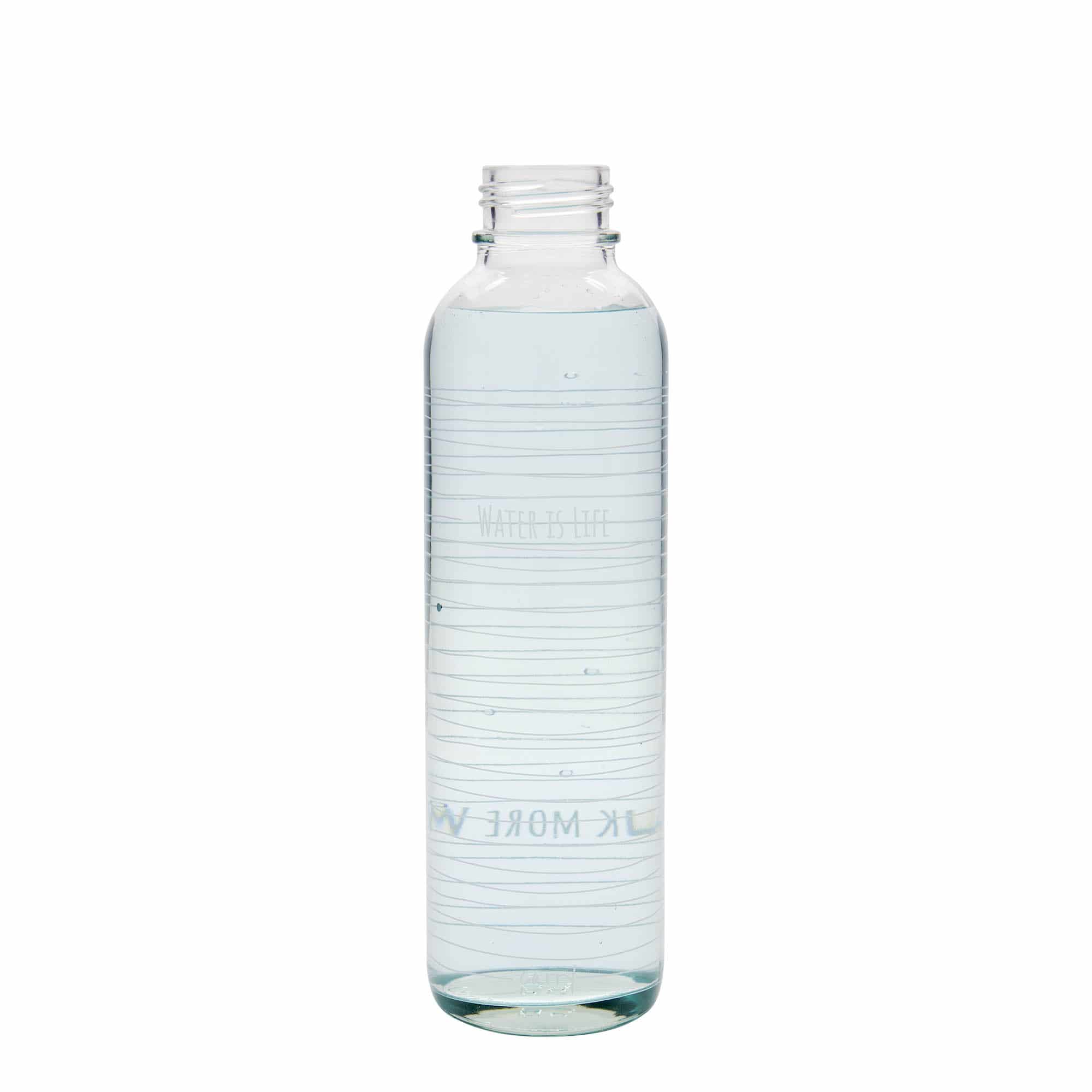 700 ml Taşıma Şişesi CARRY Bottle 'Su Hayattır', Ağız: Vidalı Kapak