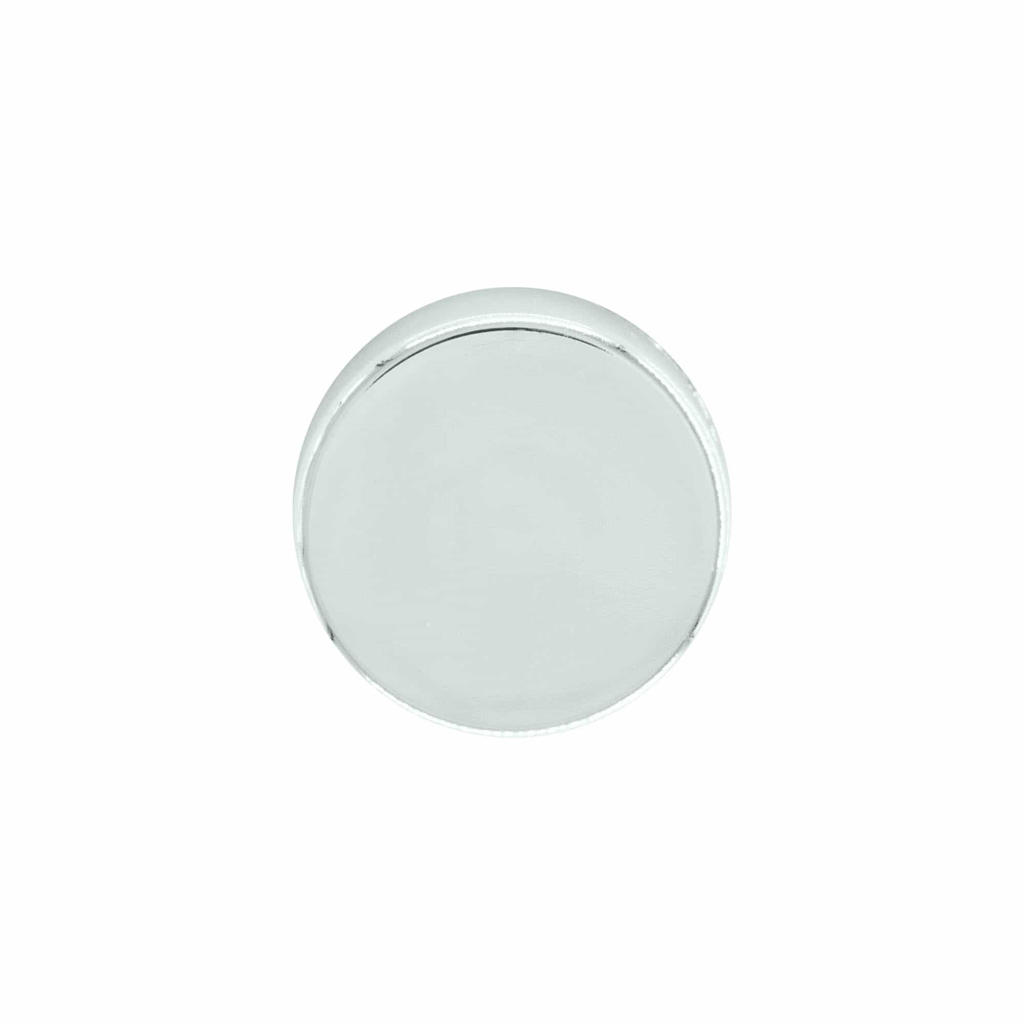 Vida kapak, ABS plastik, gümüş, ağız için: GPI 33/400